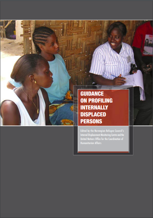 Guidance on Profiling Internally Displaced Persons (2008)