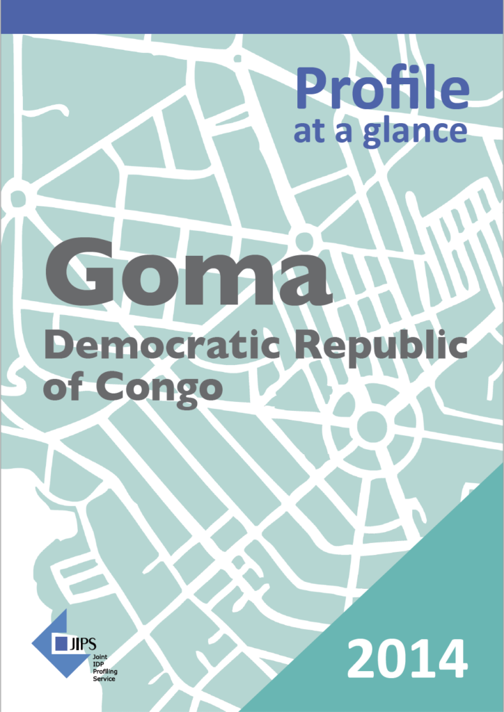 Profile at a Glance: The Use of Profiling in the Democratic Republic of Congo (Goma, 2014)