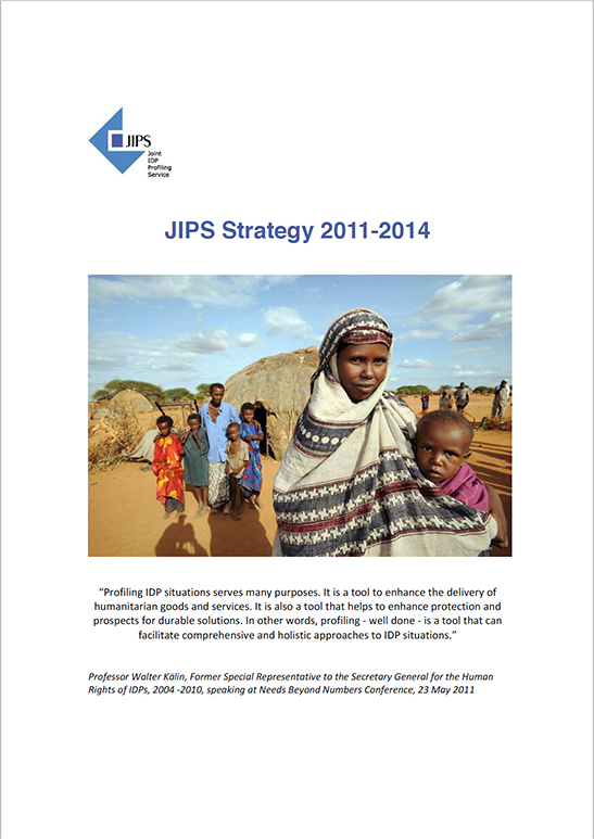 JIPS Strategy 2011 - 2014: Transition and Consolidation Phase