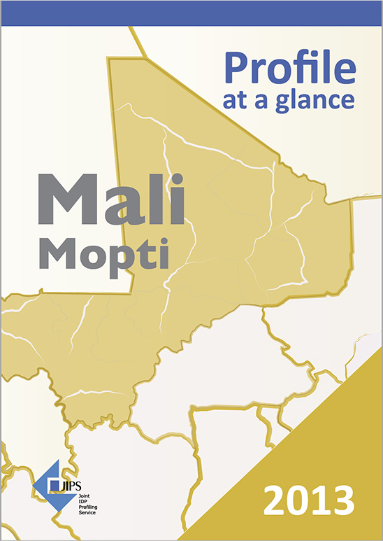 Profile at a Glance: The Use of Profiling in Mali (2013)