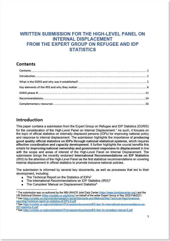 Written Submission for the High-Level Panel on Internal Displacement from the Expert Group on Refugee & IDP Statistics (EGRIS, 2021)